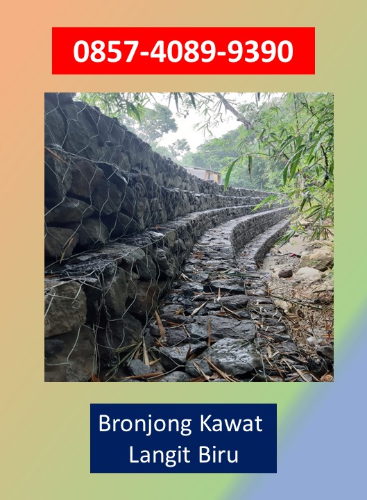 Bronjong Kawat